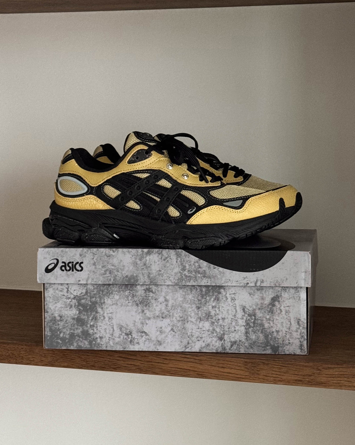 HAL Studios GEL-NYC 2.0