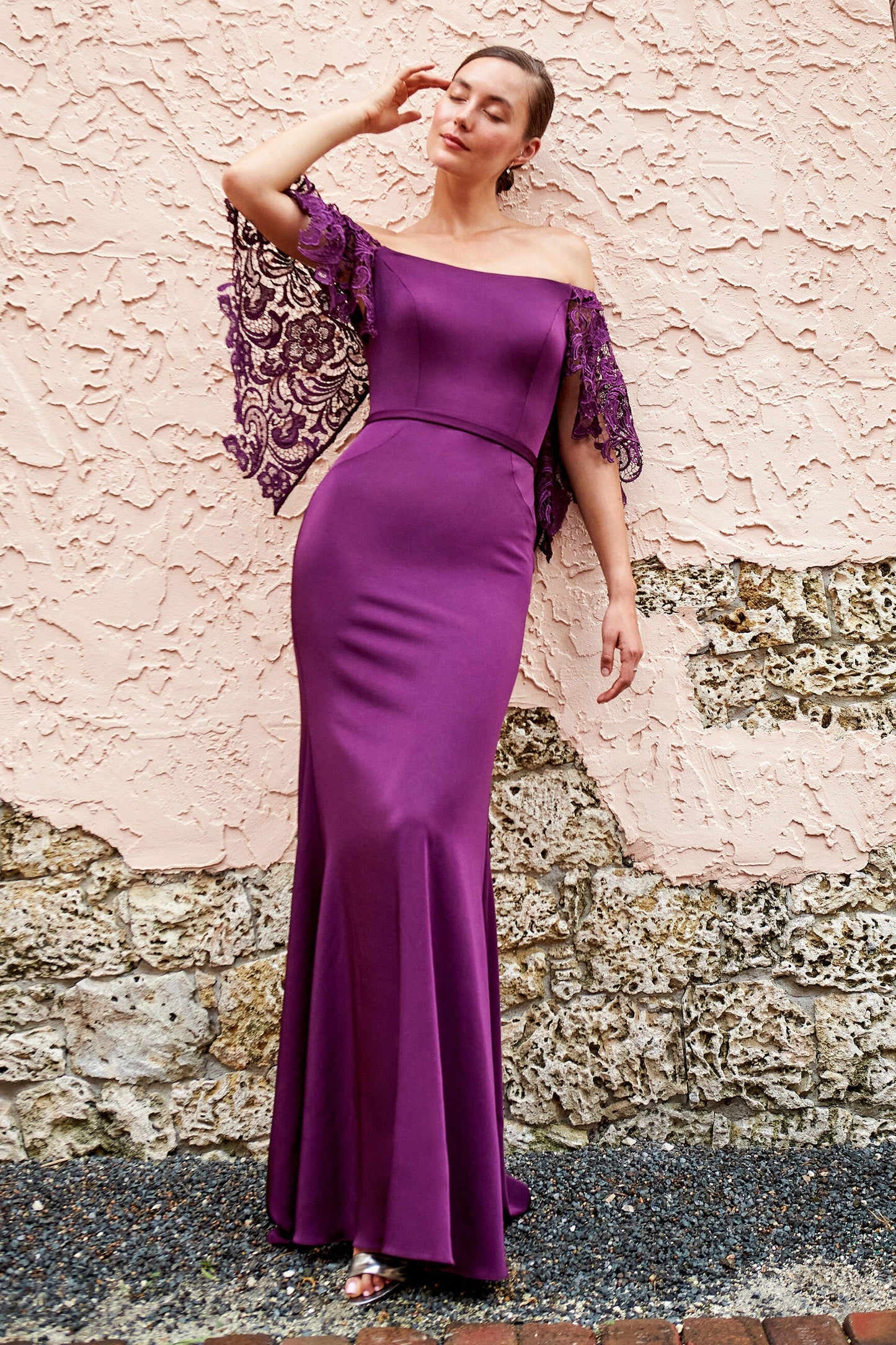 Cameron Blake 220632 Long Formal Fitted Lace Evening Dress