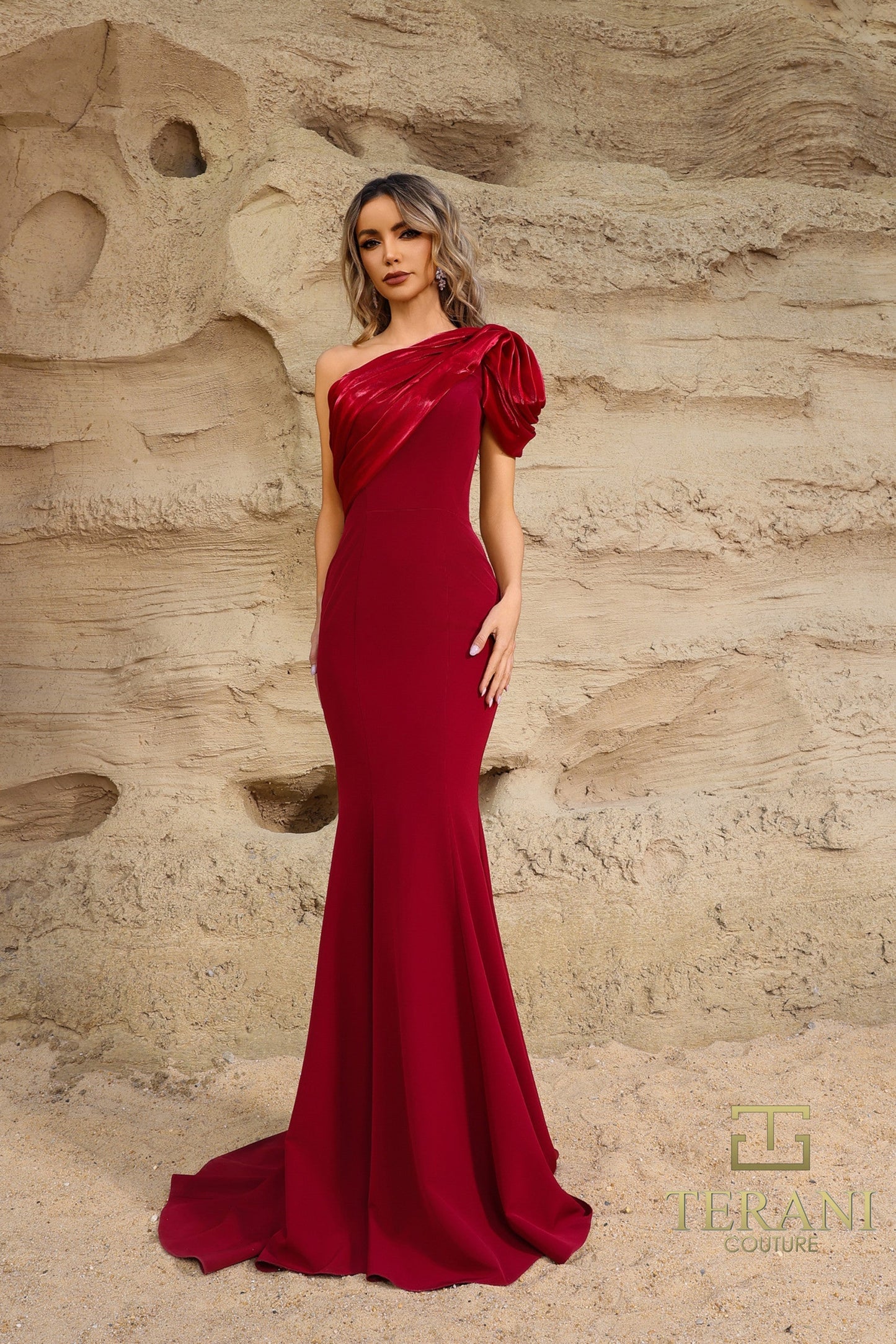 Terani Couture 252E5514 Long Evening Formal Fitted Dress