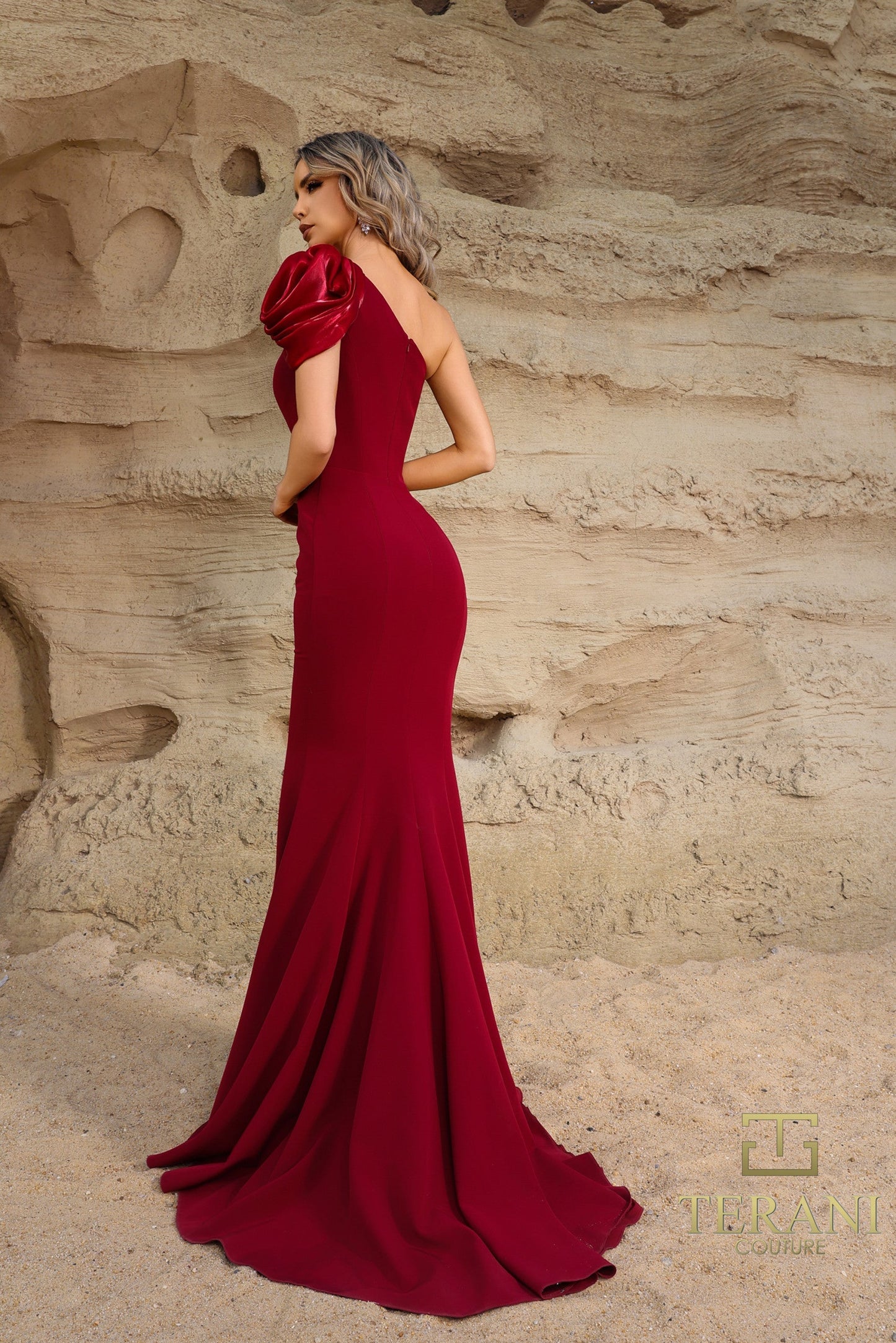 Terani Couture 252E5514 Long Evening Formal Fitted Dress