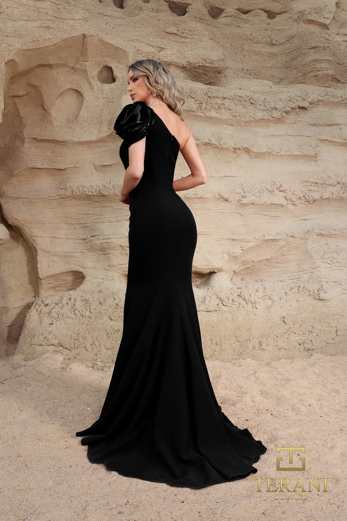 Terani Couture 252E5514 Long Evening Formal Fitted Dress
