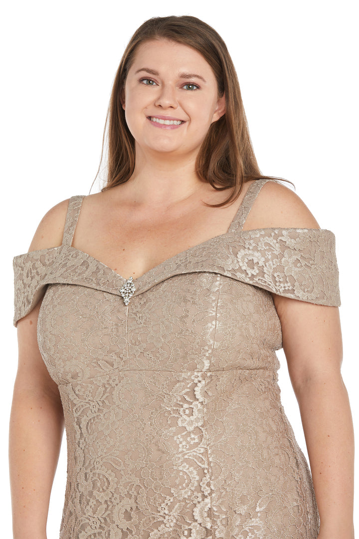 Long Plus Size Dress Mother of the Bride Formal R&M Richards 2886W