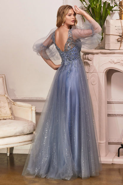 Formal Long Sleeve Mother of the Bride Long Tulle Dress LaDivine CD0182